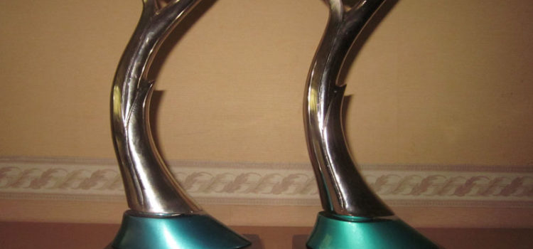 Proper Awards 2009 & 2011 Proper Awards 2009 & 2011